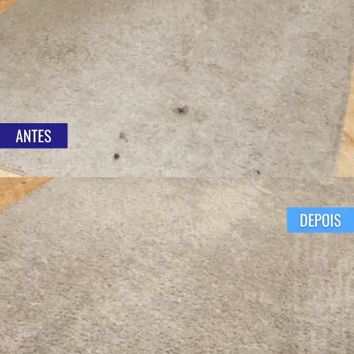 personal_clean_tapete_antes_e_depois (5)