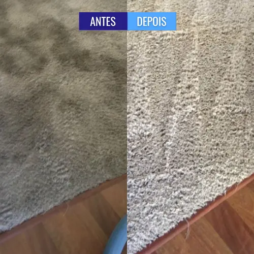 personal_clean_tapete_antes_e_depois (6)