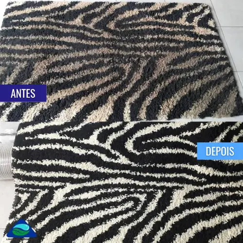 personal_clean_tapete_antes_e_depois (7)